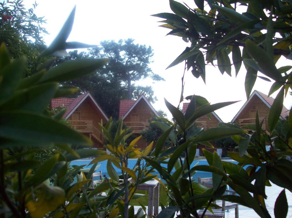 Woodline Hotel Göynük Exterior foto