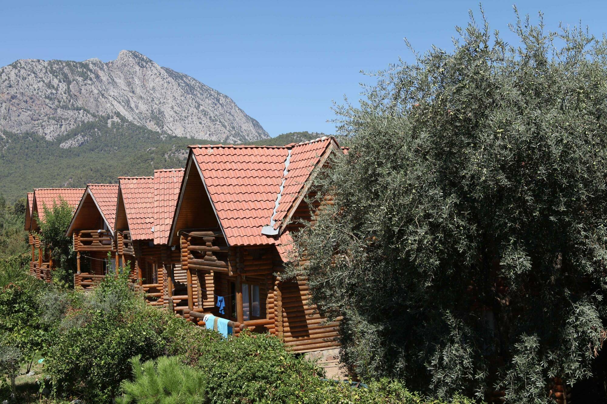 Woodline Hotel Göynük Exterior foto